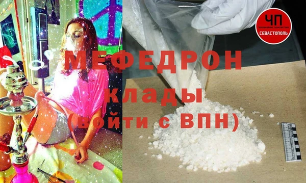 дмт Богданович